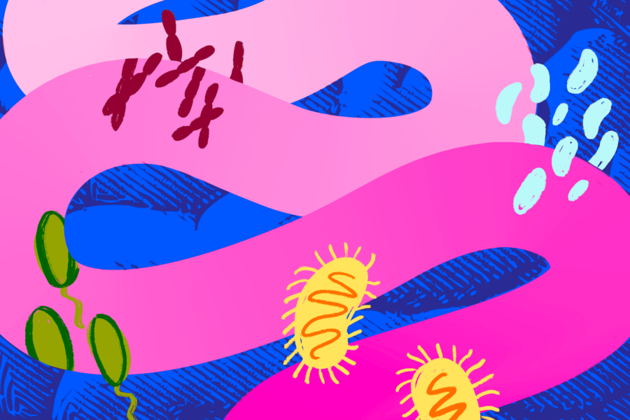 How Gut Health Shapes How We Think, Feel, Function — and Our Newest Investment Frontier