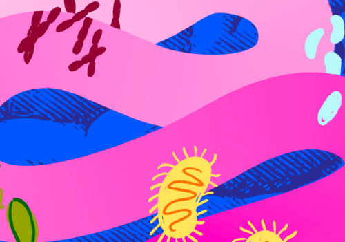 How Gut Health Shapes How We Think, Feel, Function — and Our Newest Investment Frontier