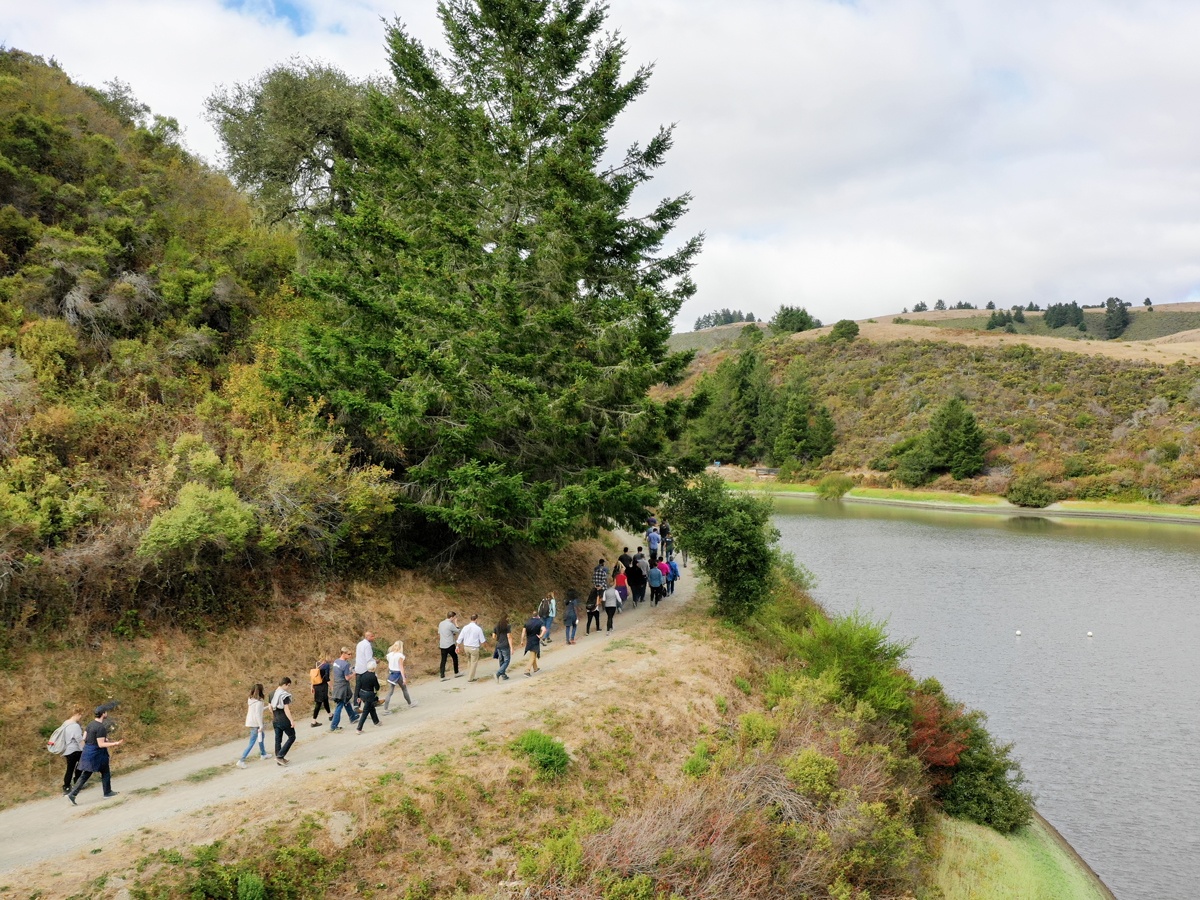 reach capital impact