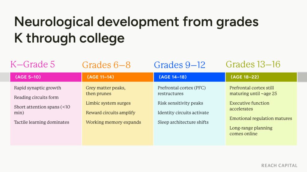 Development neuroscience overview Reach Capital