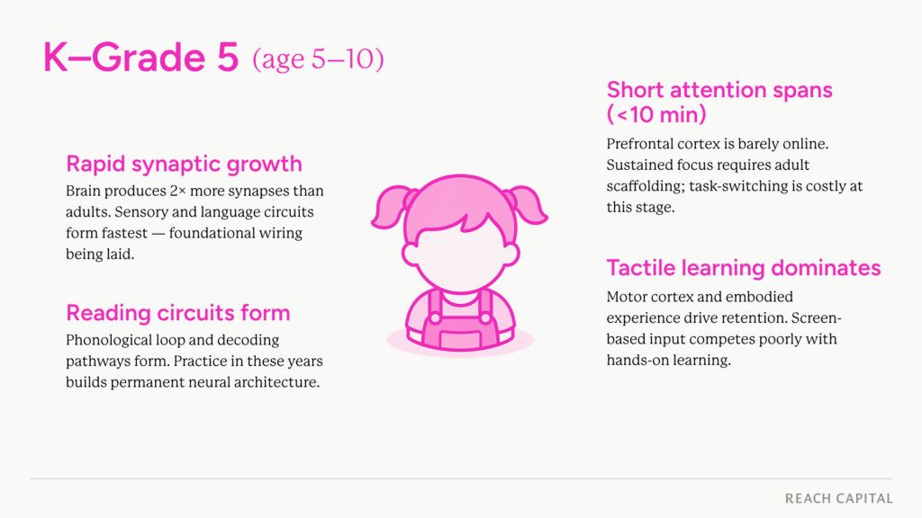 Developmental neuroscience grades k 5 1